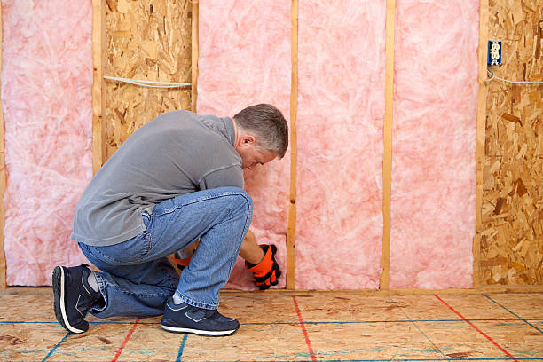 Best Insulation for New Construction  in Hodgkins, IL